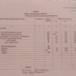 IMG-02f39e0abad13f8c1cdd9f81da0a46f1-V