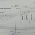 IMG-c2f674064f743ffee86a56cb43b06702-V